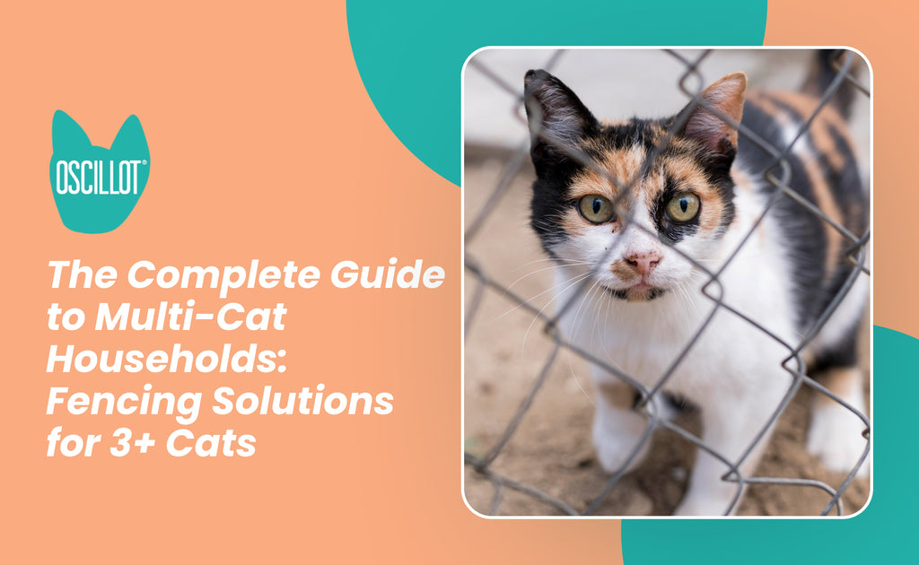 Image showcasing The Complete Guide to Multi-Cat Households: Fencing Solutions for 3+ C ...