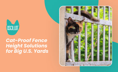 Cat-Proof Fence Height Solutions for Big U.S. Yards