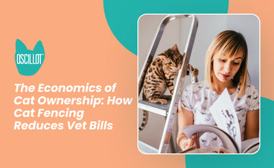 The Economics of Cat Ownership: How Cat Fencing Reduces Vet Bills