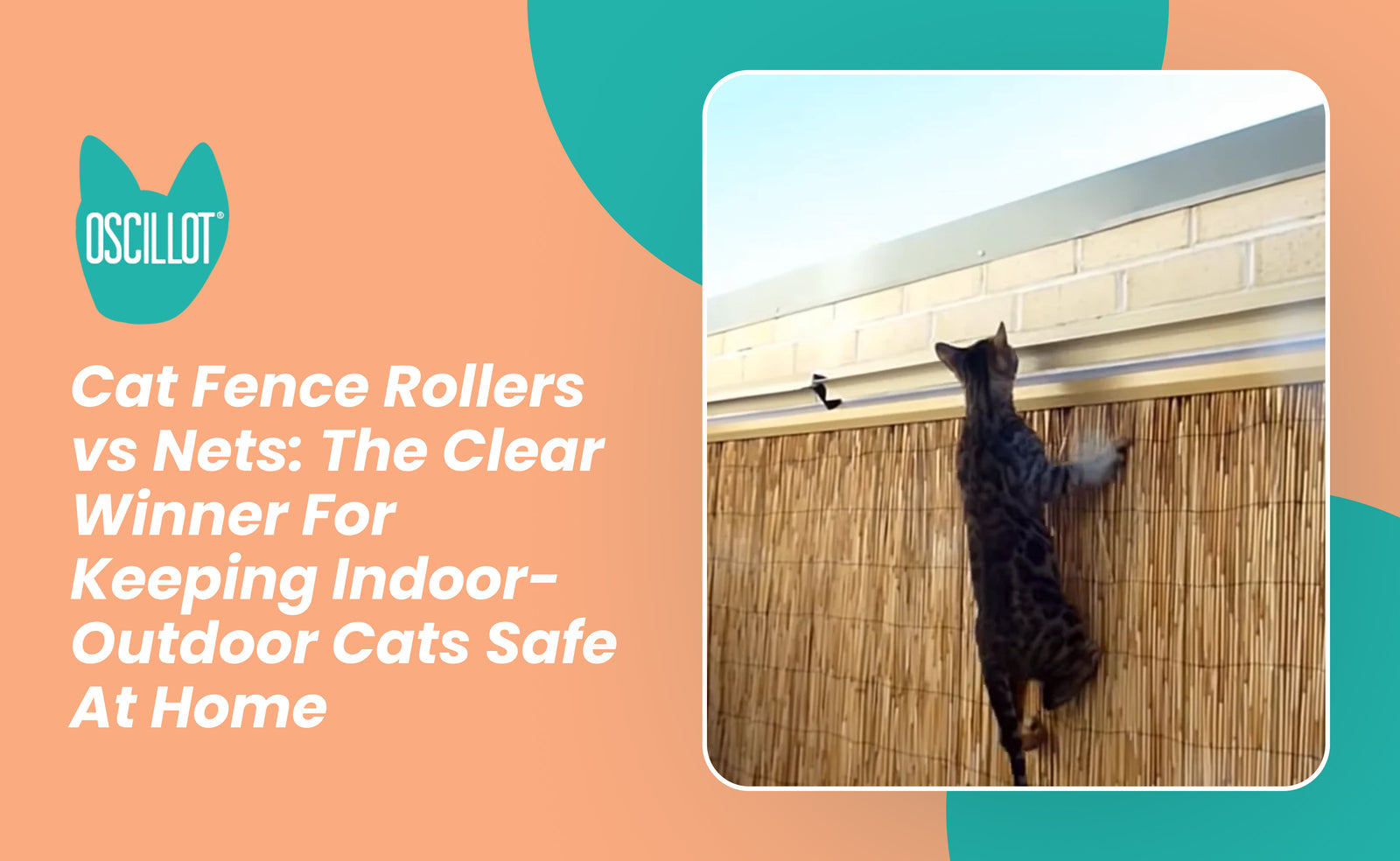 pvc pipe cat anti climb rollers Cat Fence Rollers vs Nets: The Clear Winner For Keeping Indoor-Outdoor – Cat-Proof  Fence Rollers Oscillot® North America