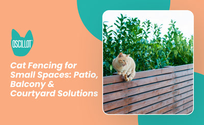 Cat Fencing for Small Spaces: Patio, Balcony & Courtyard Solutions