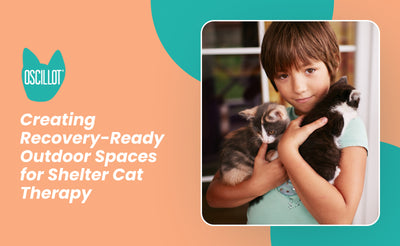 Creating Recovery-Ready Outdoor Spaces for Shelter Cat Therapy