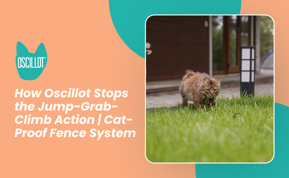 How Oscillot Stops The Jump Grab Climb Action Cat Proof Fence System how-oscillot-stops-the-jump-grab-climb-action-cat-proof-fence-system