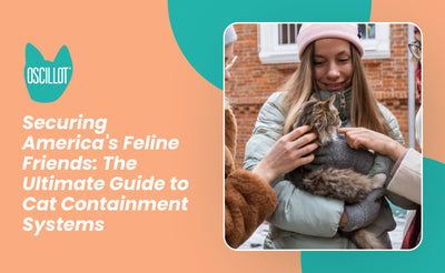 Securing America's Feline Friends: The Ultimate Guide to Cat Containment Systems