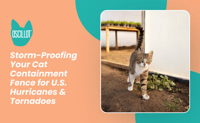 Storm-Proofing Your Cat Containment Fence for U.S. Hurricanes & Tornadoes