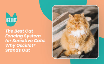 The Best Cat Fencing System for Sensitive Cats: Why Oscillot® Stands Out