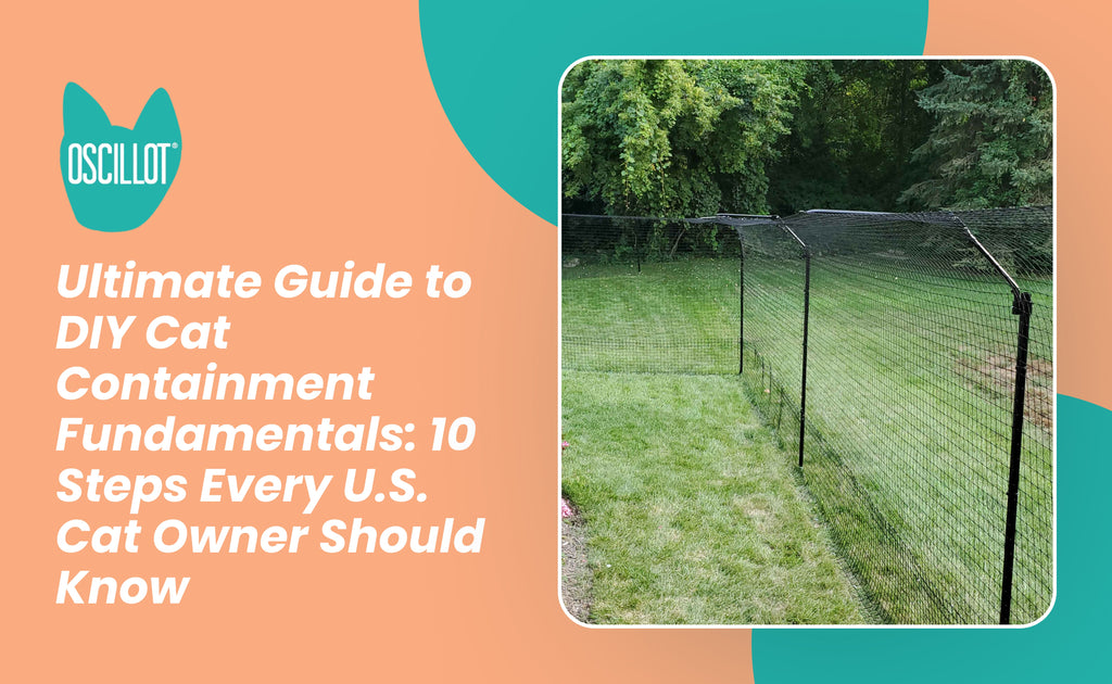 Ultimate Guide to DIY Cat Containment Fundamentals: 10 Steps Every U.S ...
