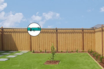Happy cat in a secure yard