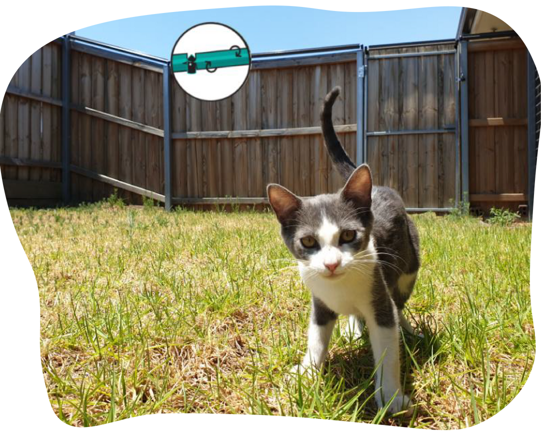 Oscillating cat fence hot sale