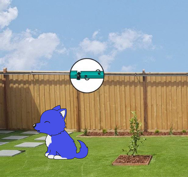 Dog behind a fence