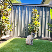 Image 18 Cat safe in backyard with fence kit