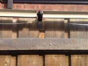 Wood Fence with Oscillot